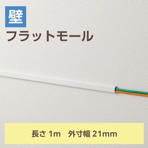 フラットモール 長さ1m 幅21mm TP
