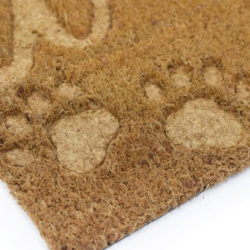 փ}bgRC[}bgSO~UOɂイ~Q