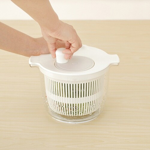 ���x�����X�^�@�T���_�X�s�i�[