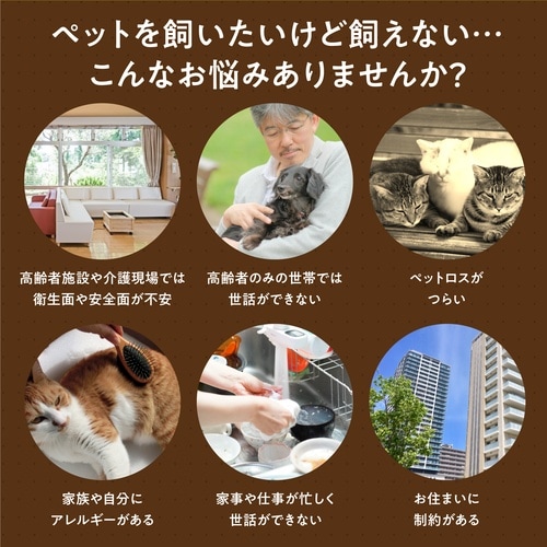 ���ŁI���������āI���ւ񂶃A�j�}���Q