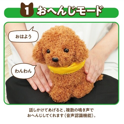 ���ŁI���������āI���ւ񂶃A�j�}���Q