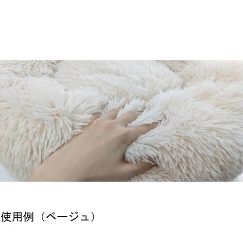 �y�b�g�����߂ɂ���ӂ�ӂ�N�b�V����