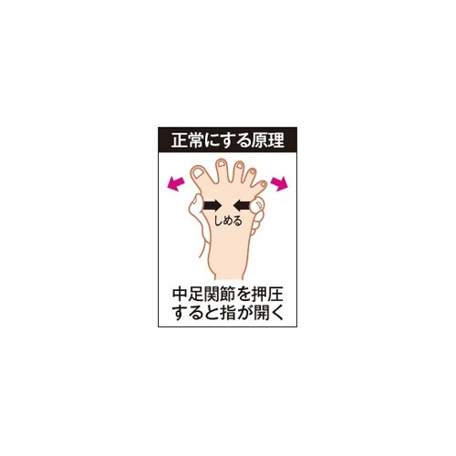 �\���{�O������T�|�[�^�[�@�X�L�j�[�p���[�t�B�b�g�@�u���E��