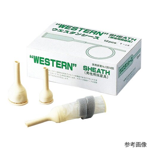 �j���p�̔A��@�E�G�X�^���V�[�X