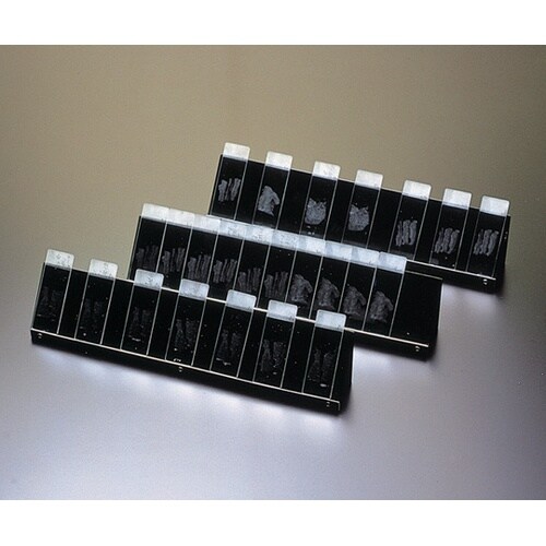 パラフィン伸展板