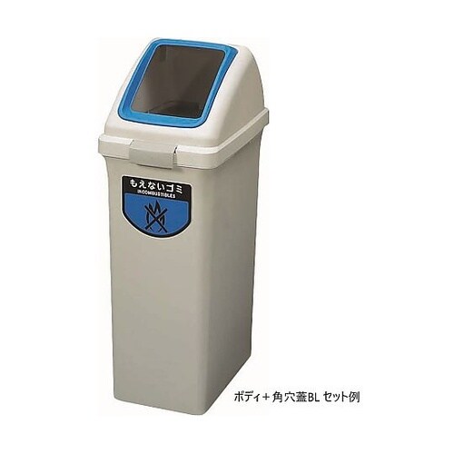 ���b�V���W