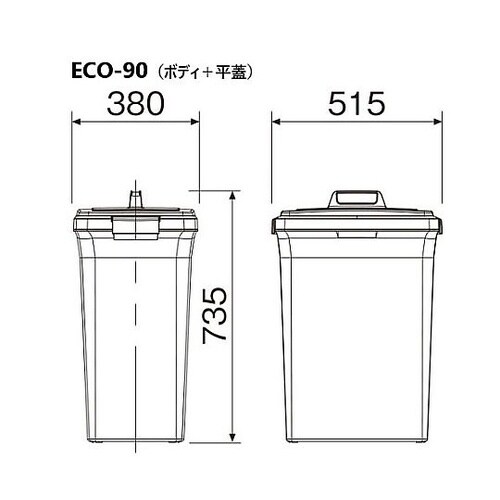 ���b�V���W