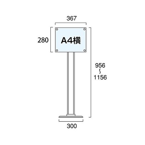 �b�`�r�[�`�S�s�@�A�N�����X�^���h