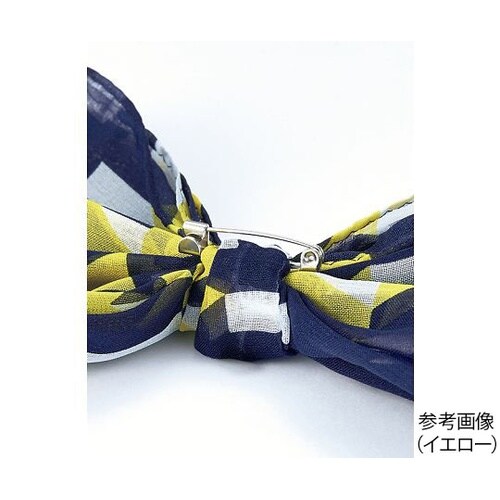 �X�J�[�t�u���[�`