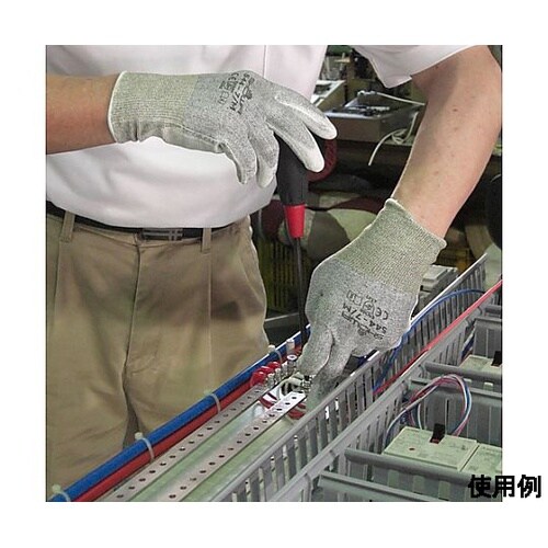 mrn@܁iϐؑn^xodnEiC