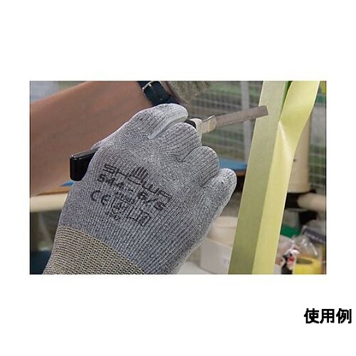 mrn@܁iϐؑn^xodnEiC