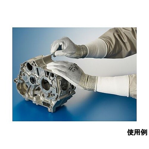 mrn@܁iϐؑn^xodnEiC