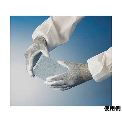 mrn@܁iϐؑn^xodnEiC