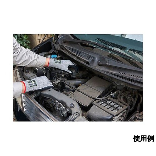 mrn@܁iϐؑn^xodnEjg