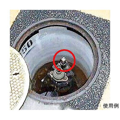 �J����i�a�n�w�^�j�@�d�`�T