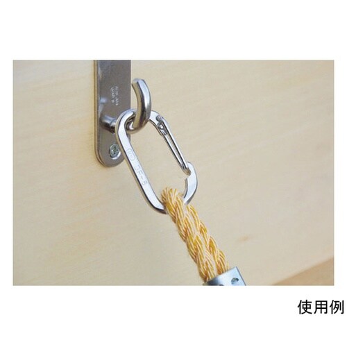 �X�e�����X�c�t�b�N�r�t�r�R�P�U