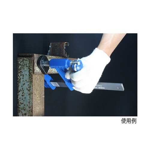 �s�X�g���}���`�N�����v