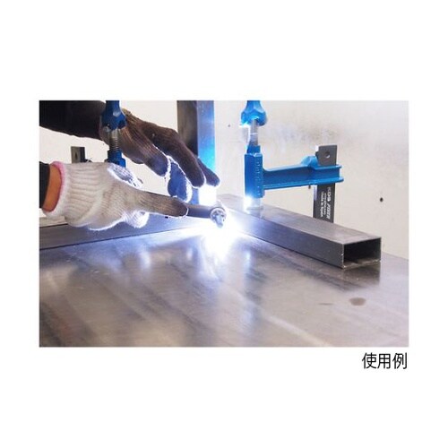 �s�X�g���}���`�N�����v