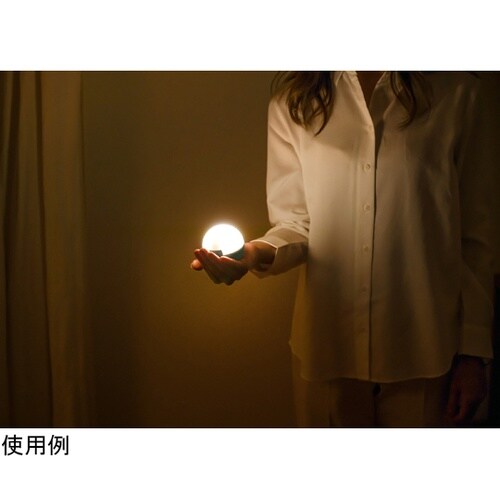 vrk|OOPfaĂ̂܂܂郉Cg