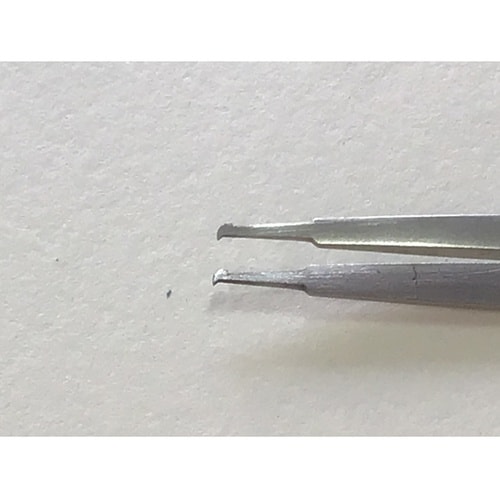 ����s���Z�b�g