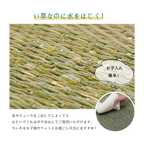 ラグ い草 モダン 撥水 自然素材 滑り