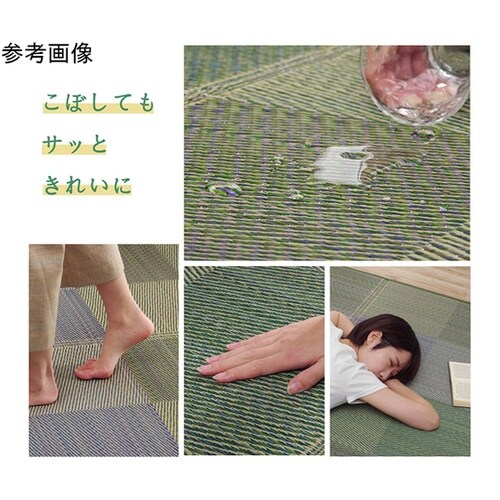 ラグ い草 モダン 撥水 自然素材 滑り