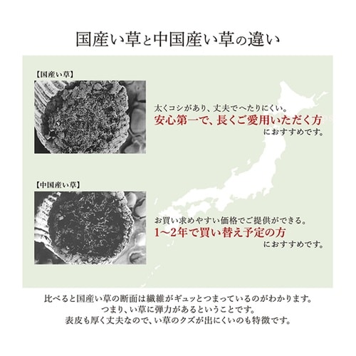 掛川織 花ござ い草 カーペット