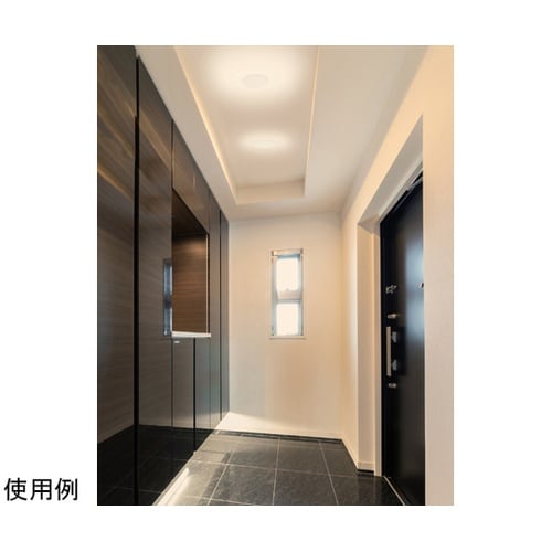 ���^�V�[�����O�@�����F