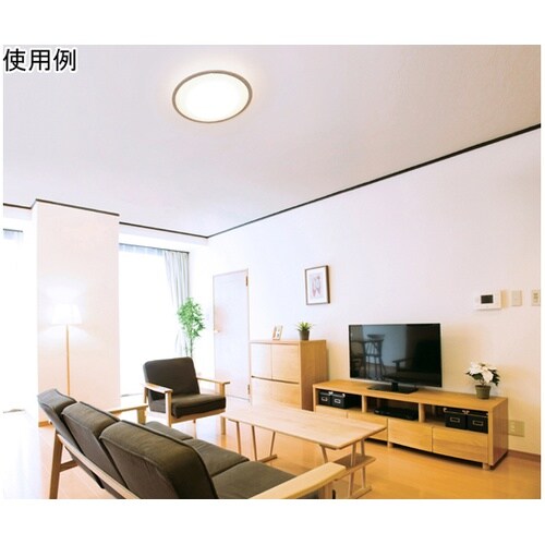 �k�d�c�V�[�����O���C�g