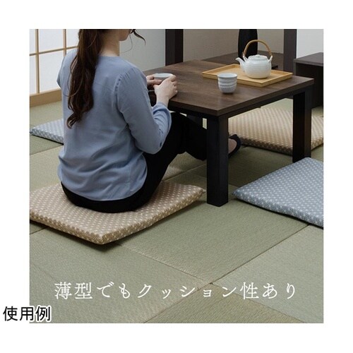 錦 固綿 ブルー