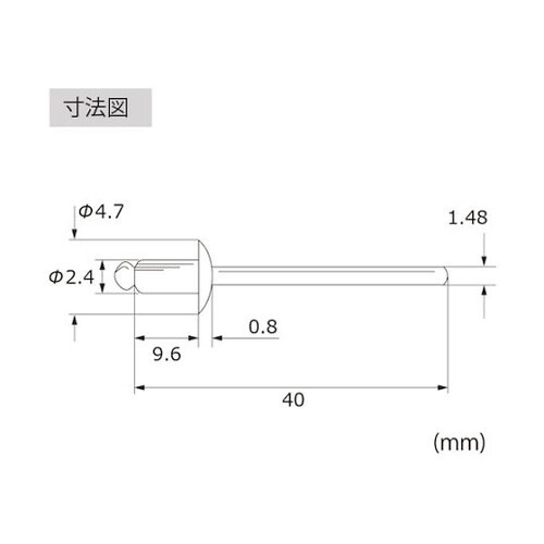 エビ ブラインドリベット