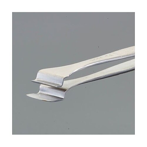 �v�`�e�d�q�p�s���Z