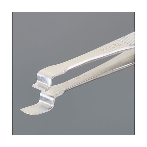 �v�`�e�d�q�p�s���Z