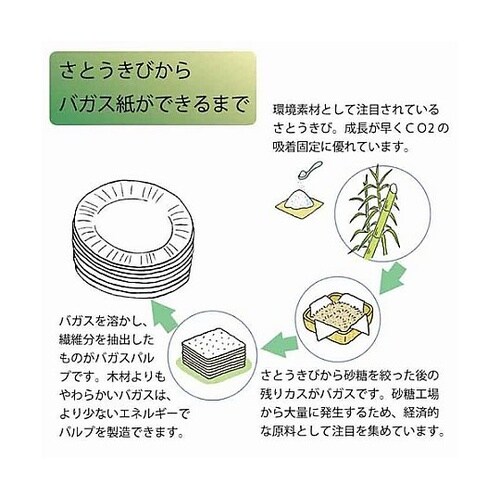 ���{�E���i�T�O���j�@