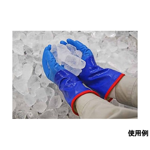 �h���E���^����܁i�ϖ��j