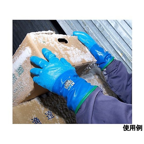 �h���E���^����܁i�ϖ��j