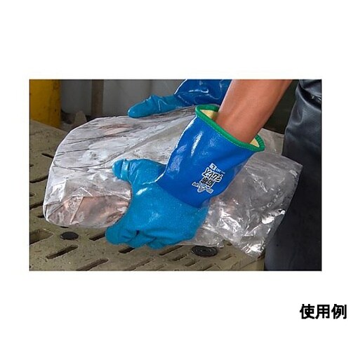 �h���E���^����܁i�ϖ��j