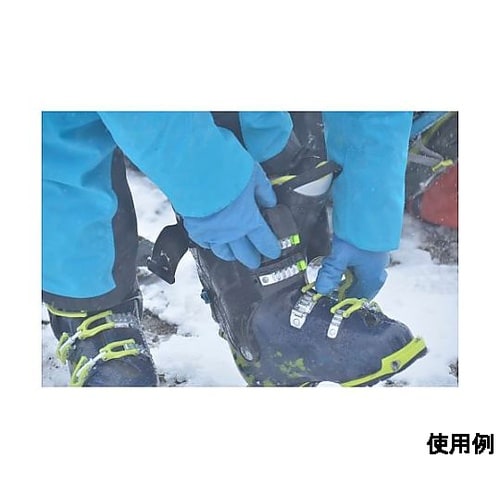 �h���E���^����܁i�ϖ��j