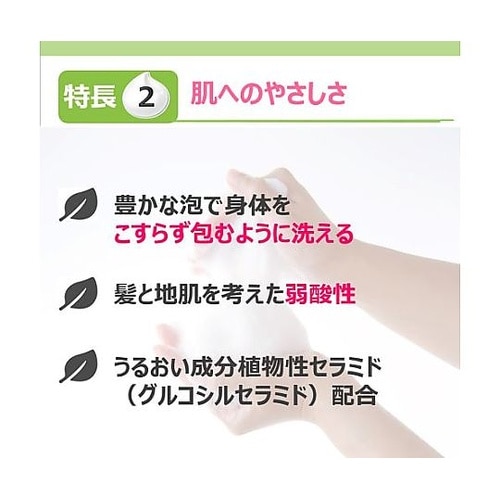 シャンプー(全身用)