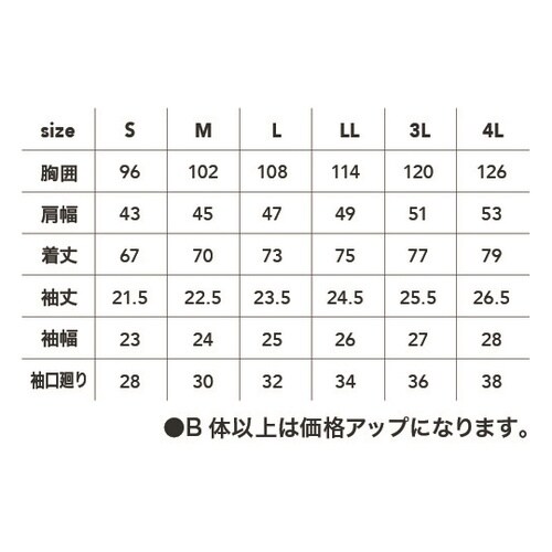 半袖ラガーシャツ 灰