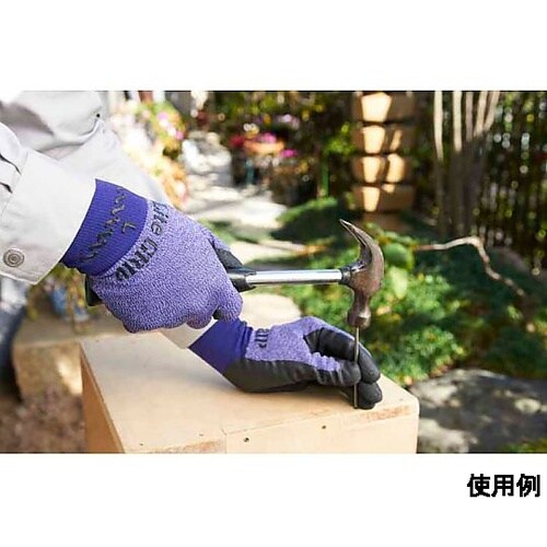 ��܁i����E�i�C�����A�|���G�X�e