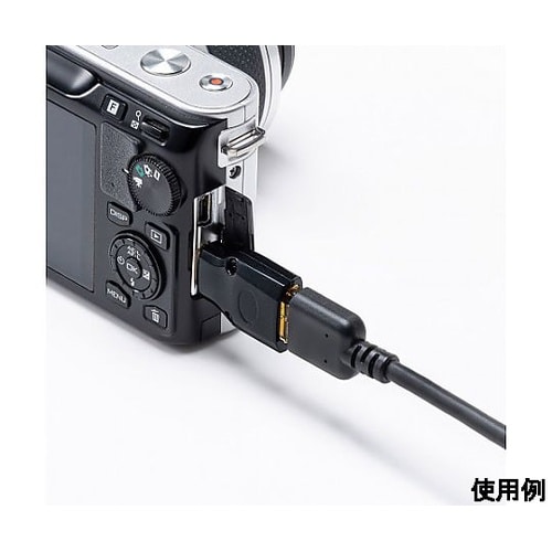 �ϊ��A�_�v�^