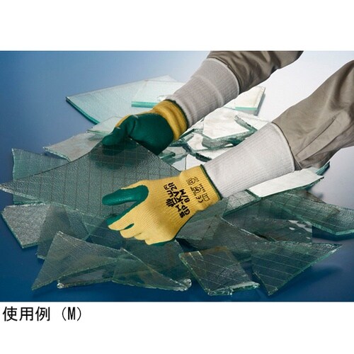 fo|juQq@lTCY@fo|juQq