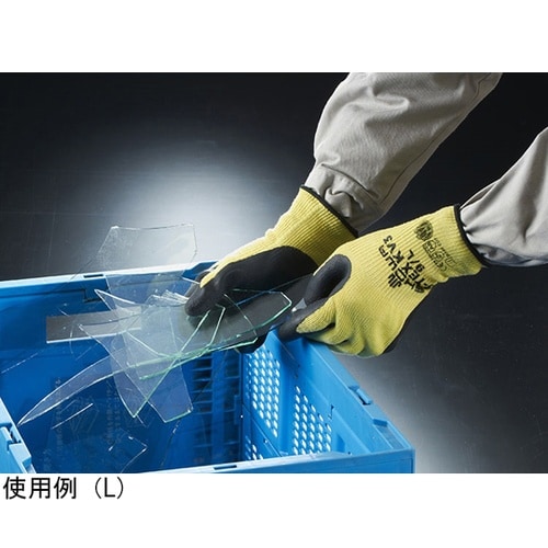 r|sdw@juR@rTCY@r|sdw