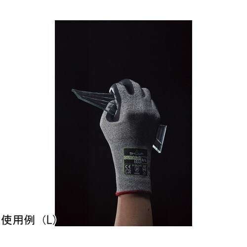 �c�t�q�`�b�������@�R�W�U