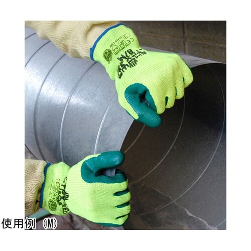 �r�[�s�d�w�@�R�T�O