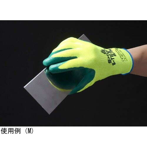 �r�[�s�d�w�@�R�T�O