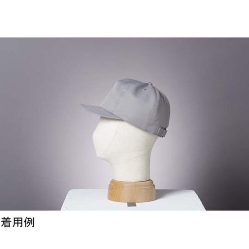 ��Ɨp�ی�X�@�������������@�i�n�a�@�J�[