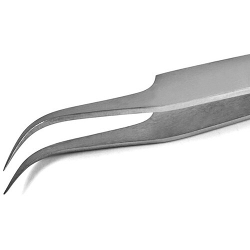 �X�e�����X�s���Z�b�g