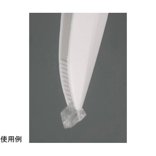 �o�r�@�f�B�X�|�s���Z�b�g